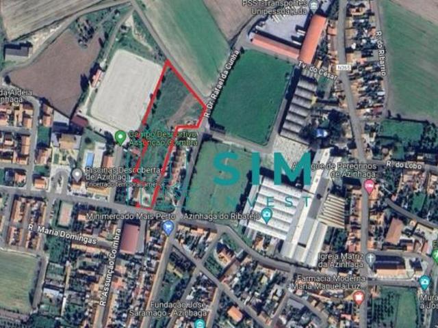 Terrenos Santarém Golegã 2150 DS98330858