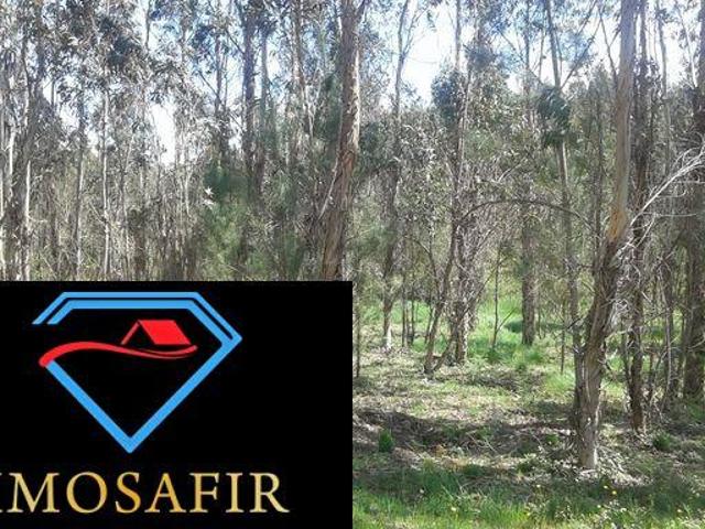 Terrenos Santarém Ourém 2435 DS98918568