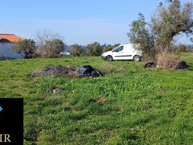 Terrenos Santarém Ourém 2490 DS98918530