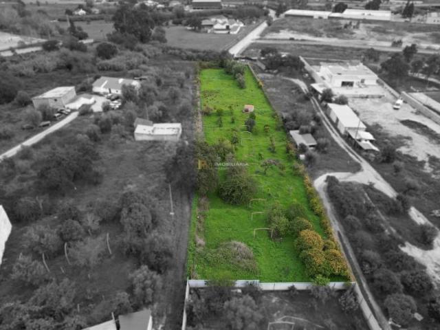 Terrenos Santarém Santarém DLS86008287