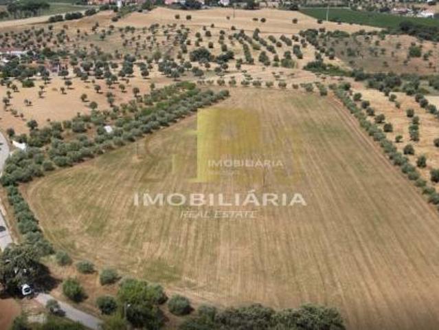 Terrenos Santarém Santarém DLS86008294