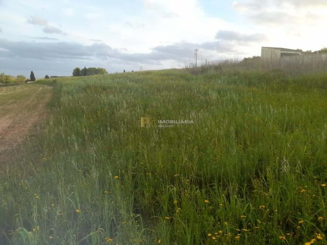 Terrenos Santarém Santarém DLS86008446