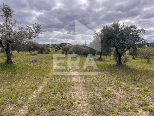 Terrenos Santarém Santarém DLS87046906
