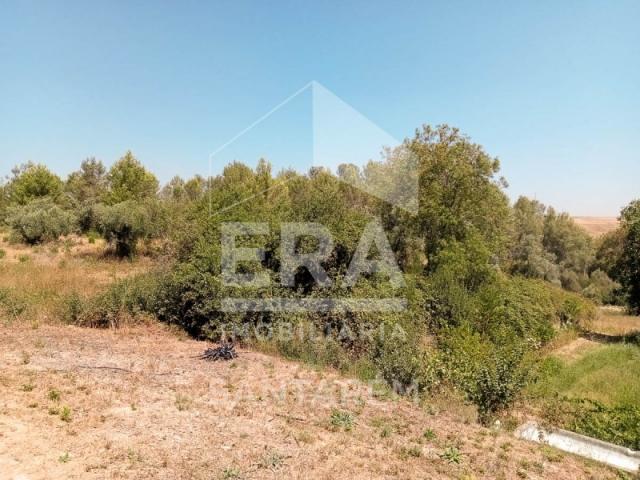 Terrenos Santarém Santarém DLS87046934