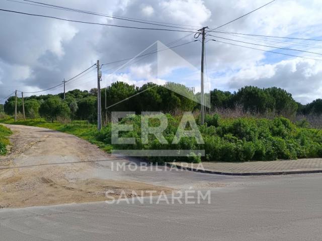 Terrenos Santarém Santarém DLS88417047