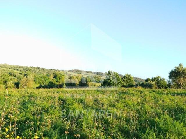 Terrenos Santarém Santarém DLS90122768