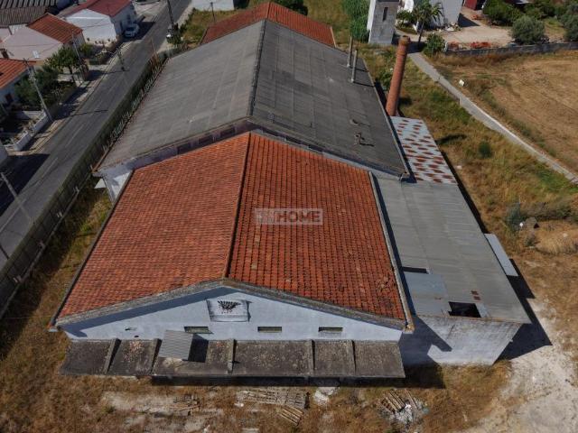 Terrenos Santarém Santarém DLS92548412