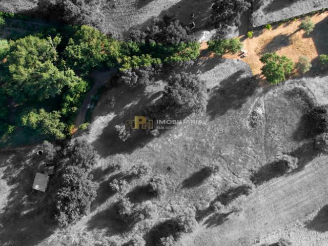 Terrenos Santarém Santarém DLS92628245