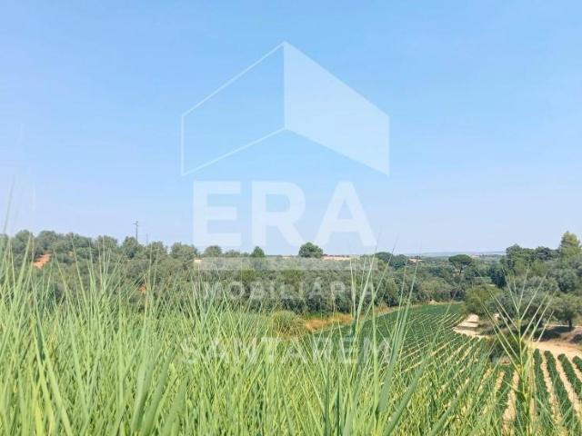 Terrenos Santarém Santarém DLS94352433