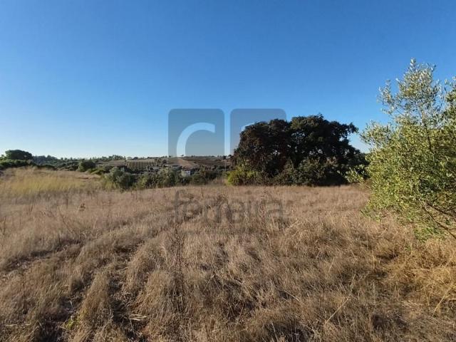 Terrenos Santarém Santarém DLS95417028