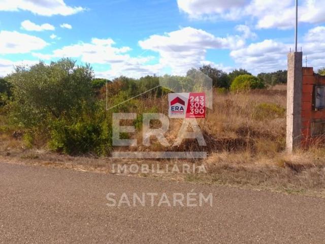 Terrenos Santarém Santarém DLS96197219