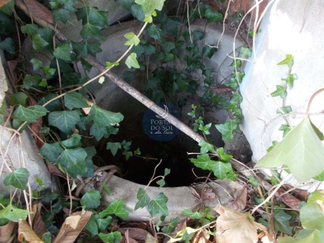 Terrenos Santarém Santarém DLS96283168
