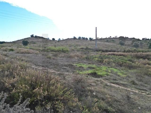 Terrenos Santarém Santarém DLS96848704