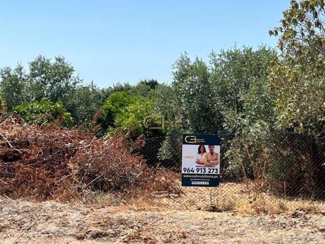 Terrenos Santarém Santarém DLS97198544