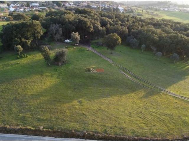 Terrenos Santarém Santarém DLS97121289