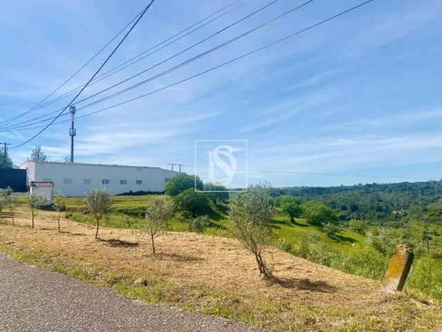 Terrenos Santarém Santarém DLS97880957