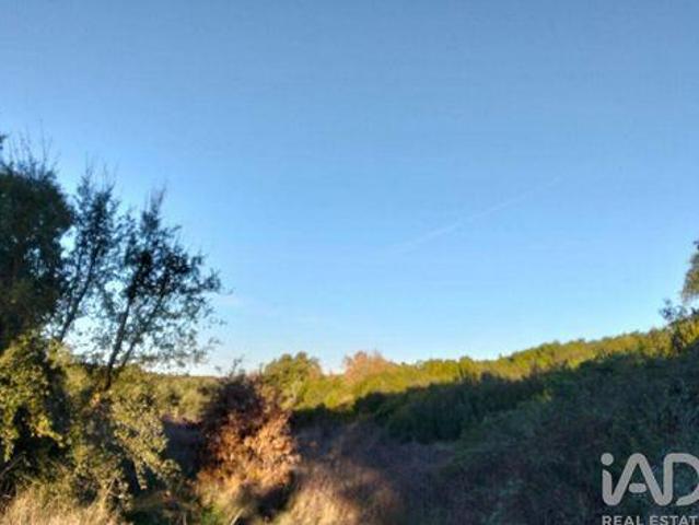 Terrenos Santarem Santarem DLS98151005