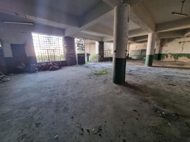 Terrenos Santarém Santarém DLS98909506