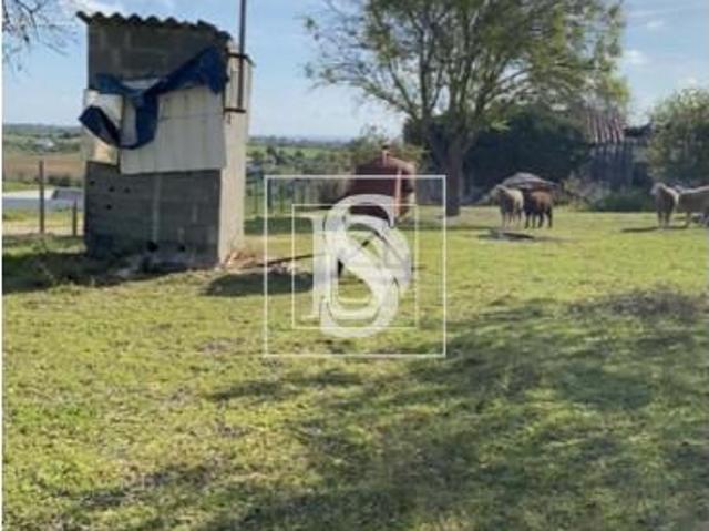 Terrenos Santarém Santarém DLS99108069
