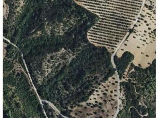 Terrenos Santarém Santarém DLS99377054