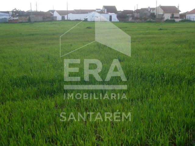 Terrenos Santarém Santarém DLS100928590
