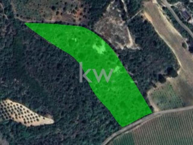 Terrenos Santarém Santarém DLS101523725