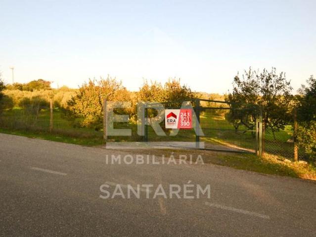 Terrenos Santarém Santarém DLS102578011