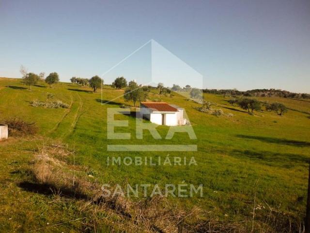 Terrenos Santarém Santarém DLS102791242