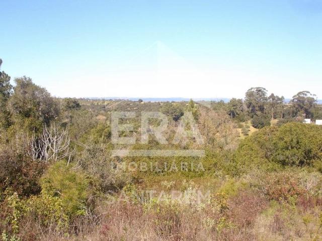 Terrenos Santarém Santarém DLS102791248