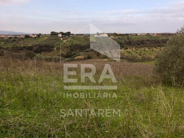 Terrenos Santarém Santarém DLS102791251