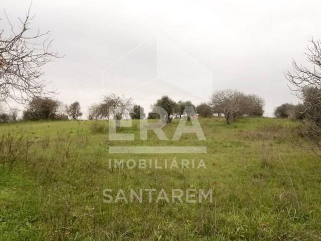 Terrenos Santarém Santarém DLS102791255