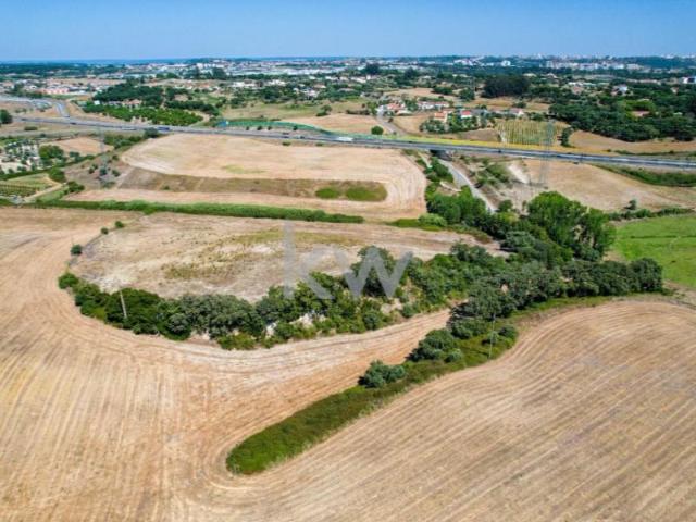 Terrenos Santarém Santarém DLS102098188