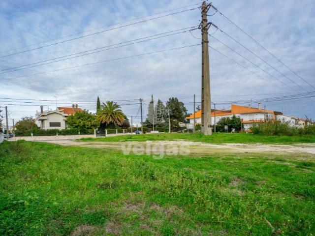 Terrenos Santarém Santarém DLS102233006