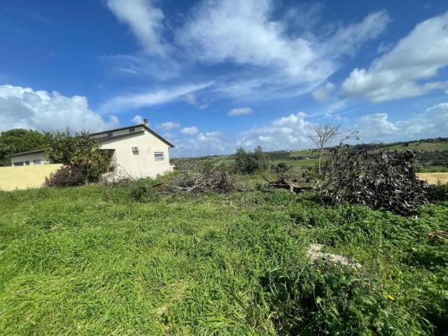 Terrenos Santarém Santarém DS101064289