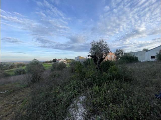 Terrenos Santarém Santarém DS101064364