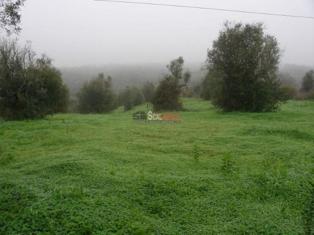 Terrenos Santarém Santarém DS102188392