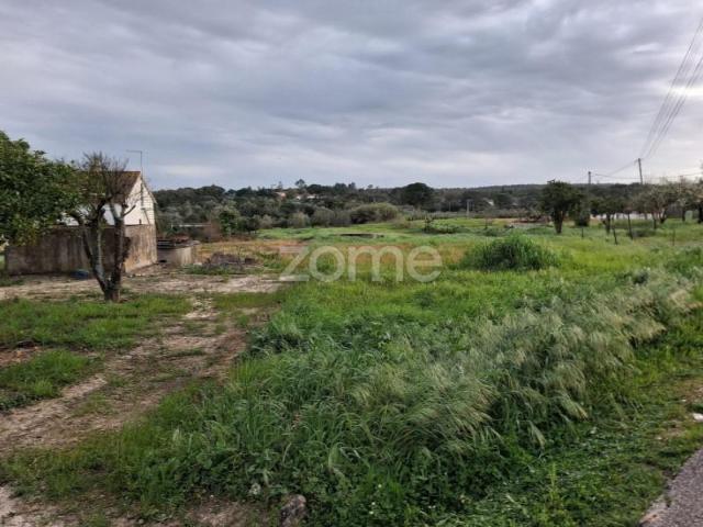 Terrenos Santarém Santarém DS102441370
