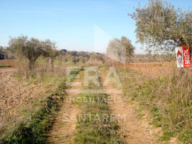 Terrenos Santarém Santarém DS102578018