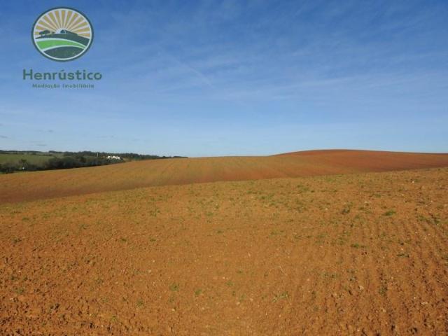 Terrenos Santiago do Cacém Santiago do Cacém DLS93148000