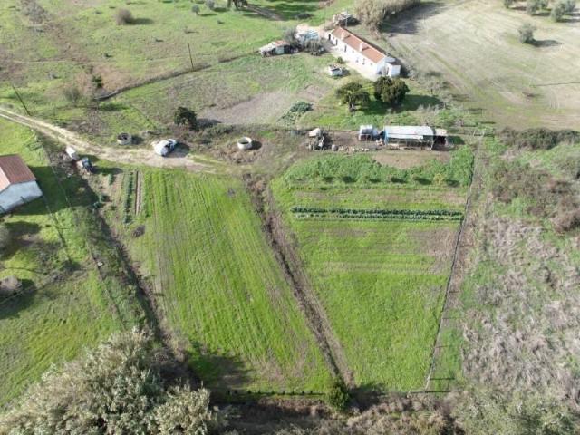Terrenos Santiago do Cacém Santiago do Cacém DLS97938988