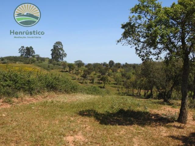 Terrenos Santiago do Cacém Santiago do Cacém DS101633782