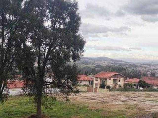Terrenos Santo Tirso Porto DLS98929917