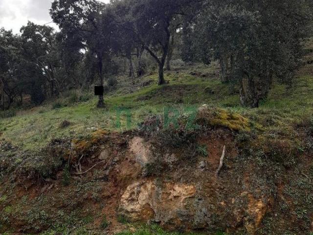 Terrenos San Cibrao Das Viñas Orense 86150860