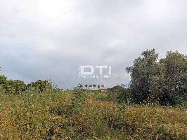 Terrenos San Bartolome De La Torre Huelva 96431491