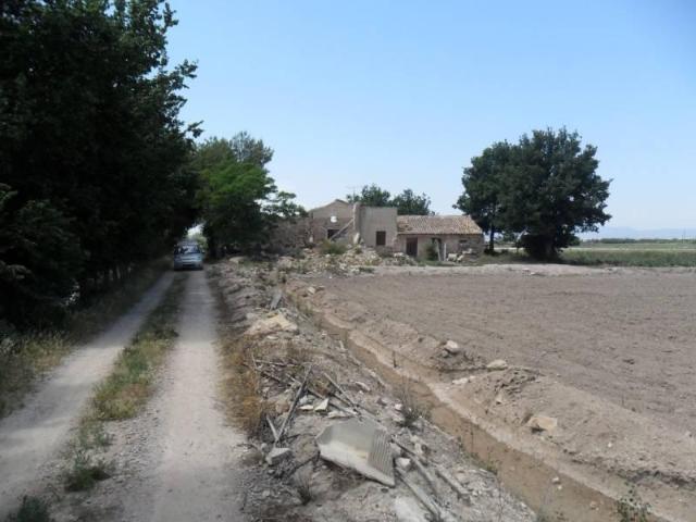Terrenos San Fulgencio Alicante LS99036694