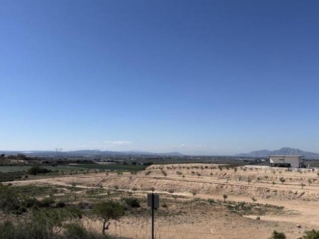 Terrenos San Fulgencio Alicante 102469125