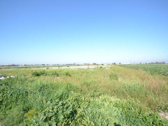 Terrenos San Fulgencio Costa Blanca LS83122215