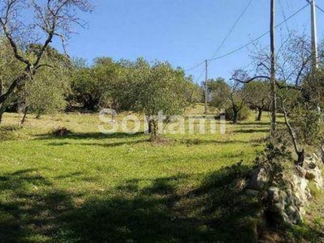 Terrenos Sao Bras De Alportel Faro DS96501657