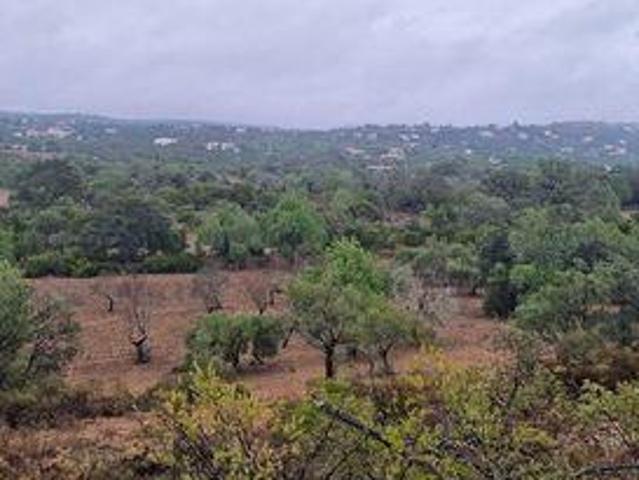 Terrenos Sao Bras De Alportel Faro DS96325336