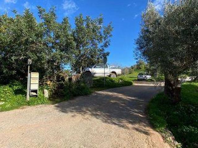 Terrenos Sao Bras De Alportel Faro DS97112622